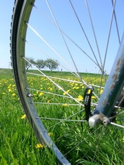 Killikus&reg; Fotographie